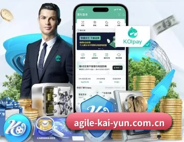 开云 APP 深度功能